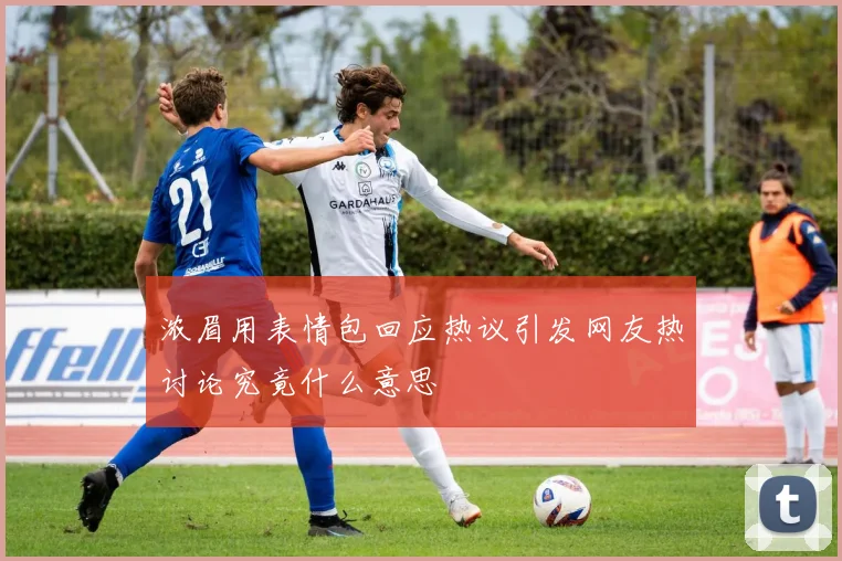浓眉用表情包回应热议引发网友热讨论究竟什么意思
