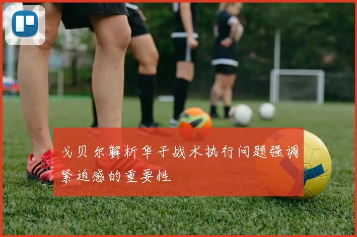 戈贝尔解析华子战术执行问题强调紧迫感的重要性